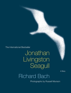 jonathan seagull